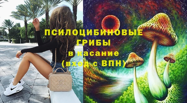 стафф Володарск