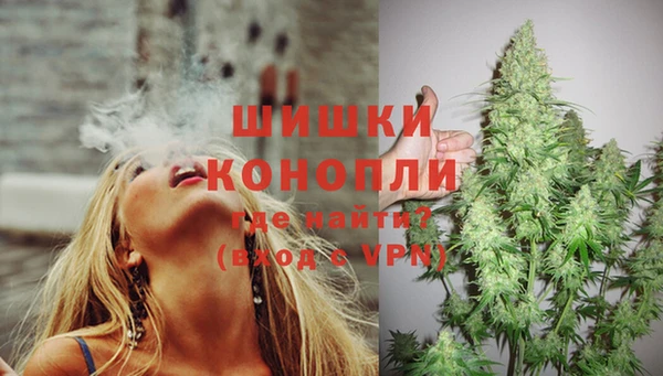стафф Володарск