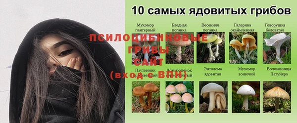 стафф Володарск