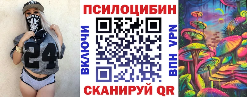 площадка телеграм  Поворино  Псилоцибиновые грибы GOLDEN TEACHER 